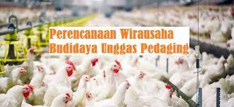Perencanaan Dari Wirausaha Di Budidaya Unggas Pedaging