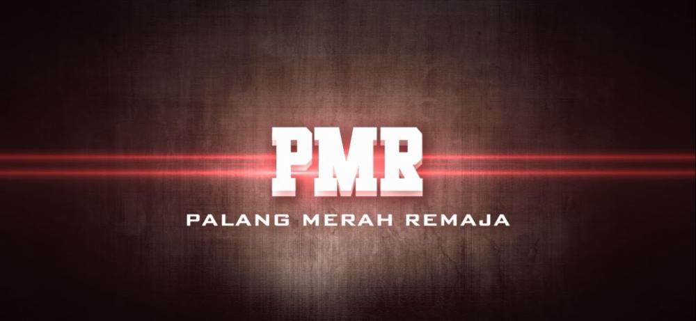Dasar - Dasar Gerakan Kepalangmerahan